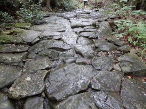 熊野古道 馬越峠登口の石畳